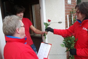 PvdA deelt rozen uit in “dubbeldorp” Harbrinkhoek Mariaparochie.